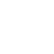 6T体育