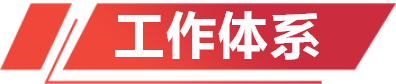 6T体育