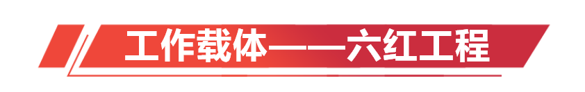 6T体育